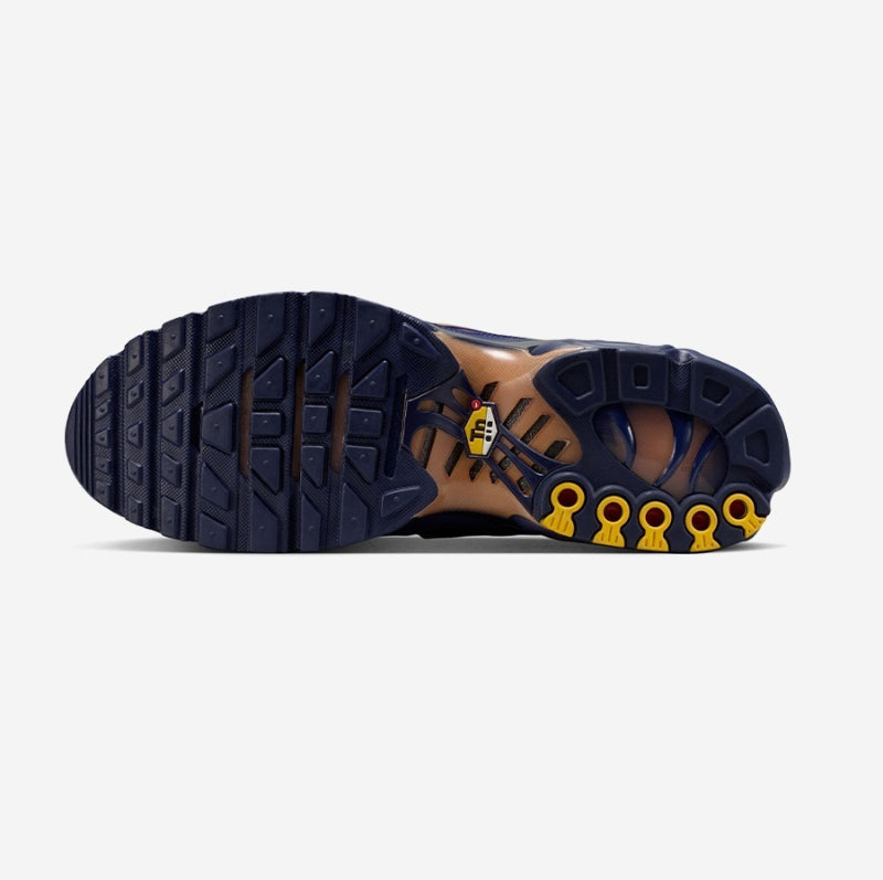 Nike Air Max Plus 'French Football Federation' IQ0170-400