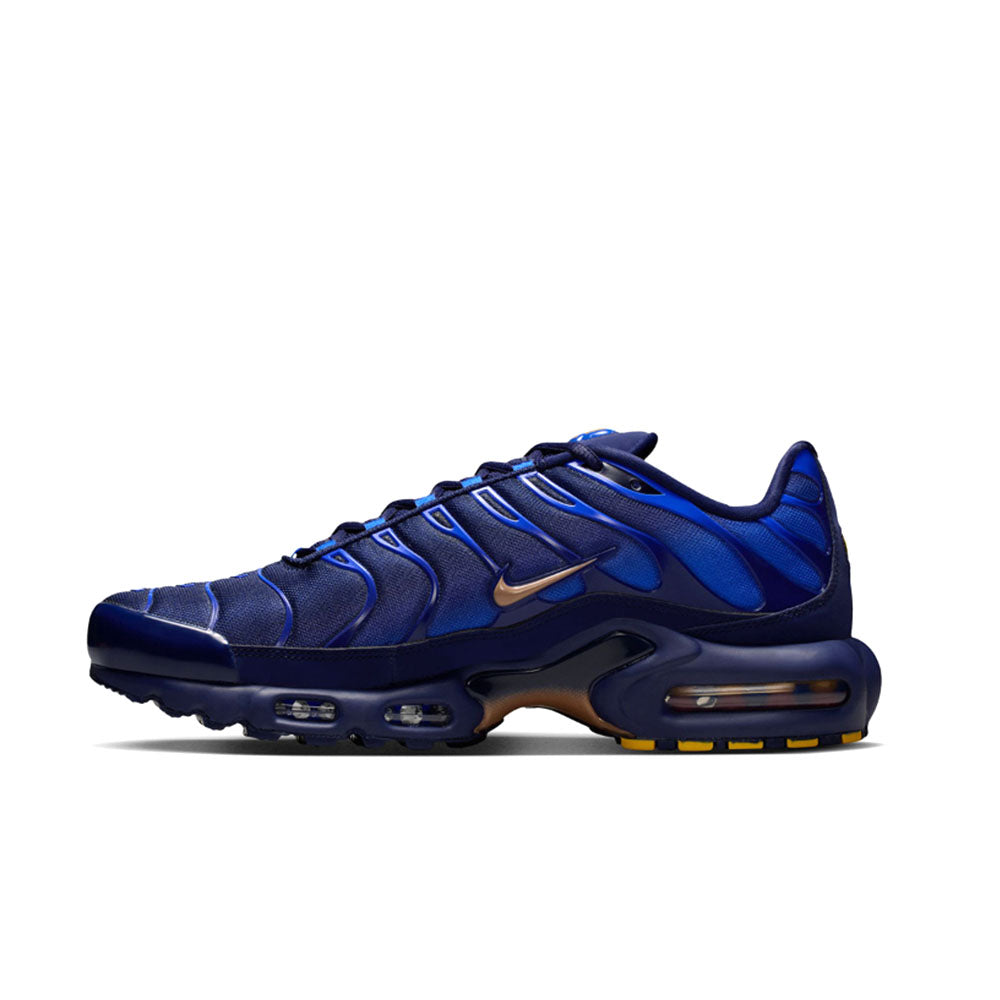 Nike Air Max Plus 'French Football Federation' IQ0170-400