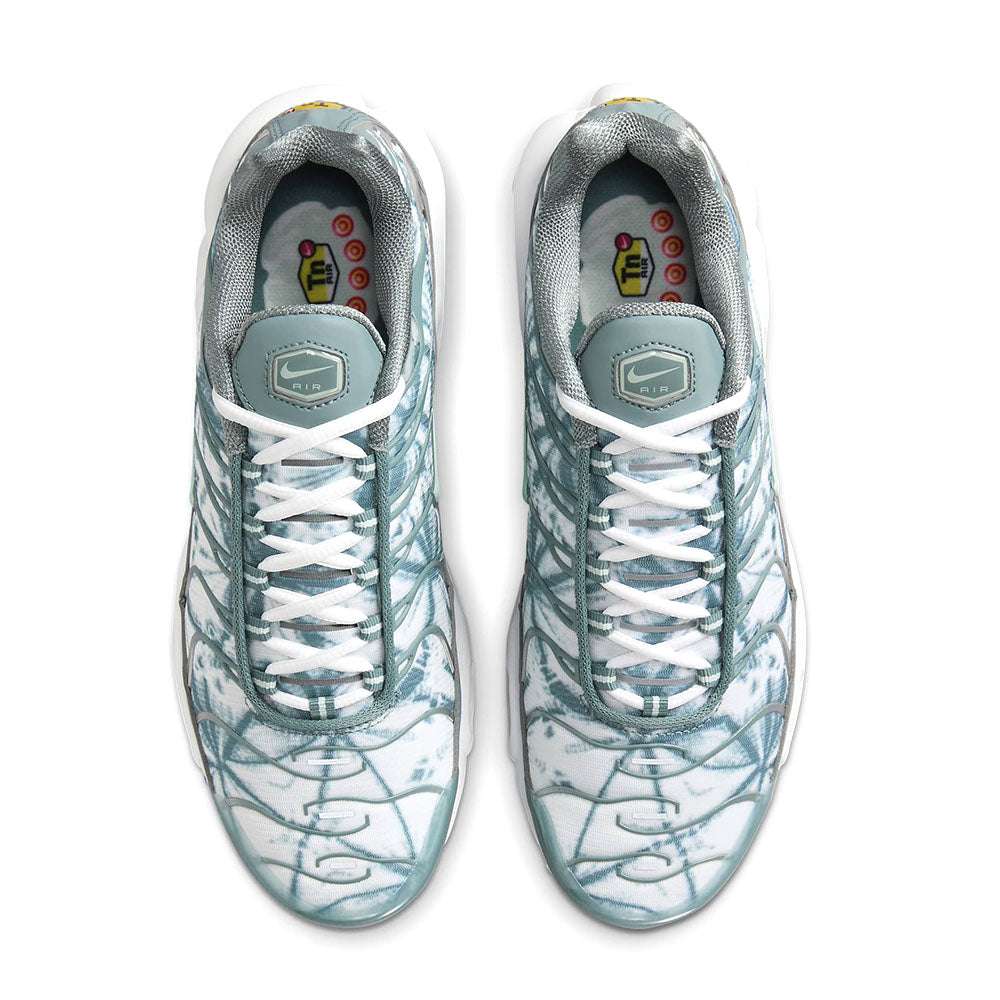 Nike Air Max Plus 'Origins Waterway' FV0394-300