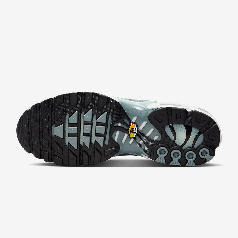 Nike Air Max Plus 'Origins Waterway' FV0394-300