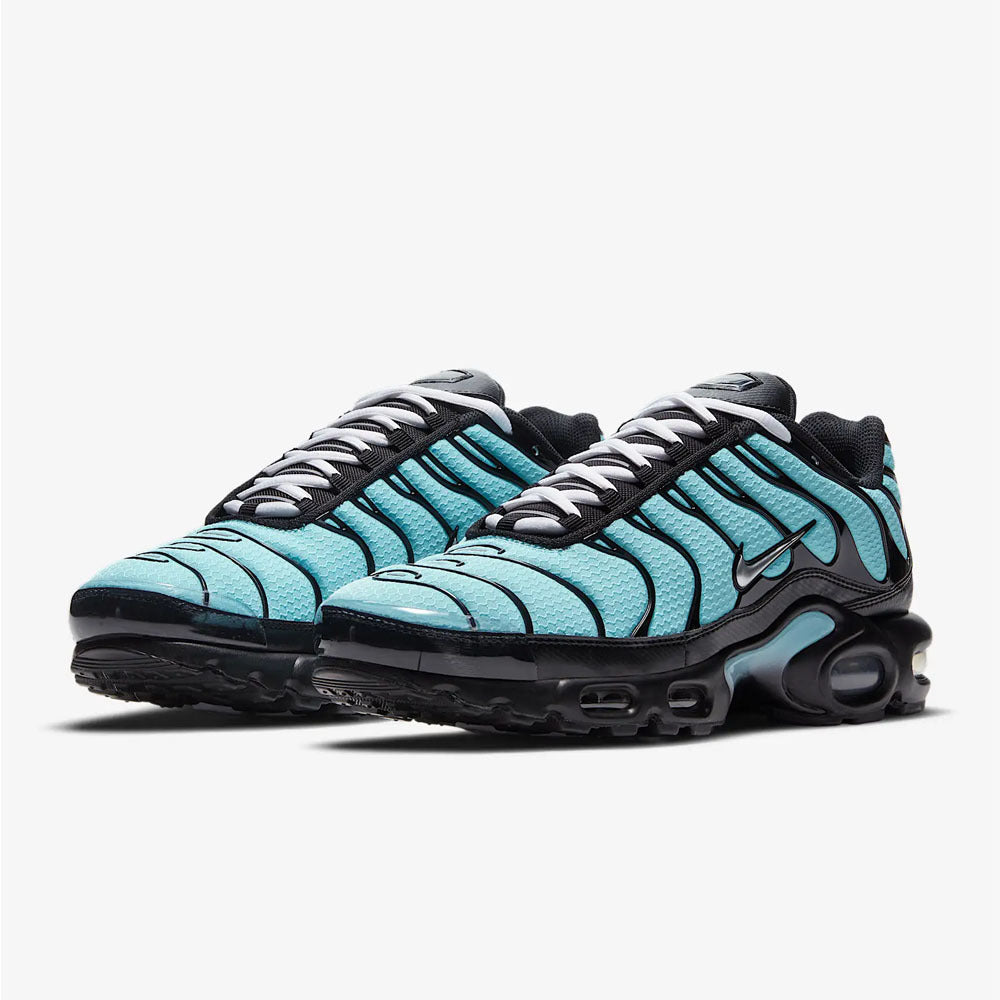 Nike Air Max Plus 'Aqua Silver'