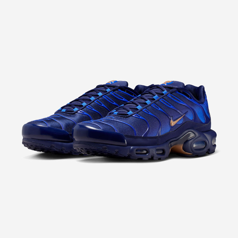 Nike Air Max Plus 'French Football Federation' IQ0170-400