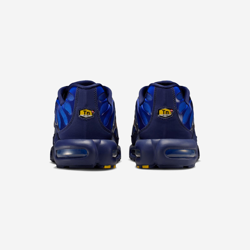 Nike Air Max Plus 'French Football Federation' IQ0170-400