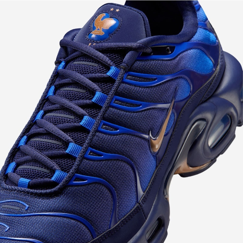Nike Air Max Plus 'French Football Federation' IQ0170-400