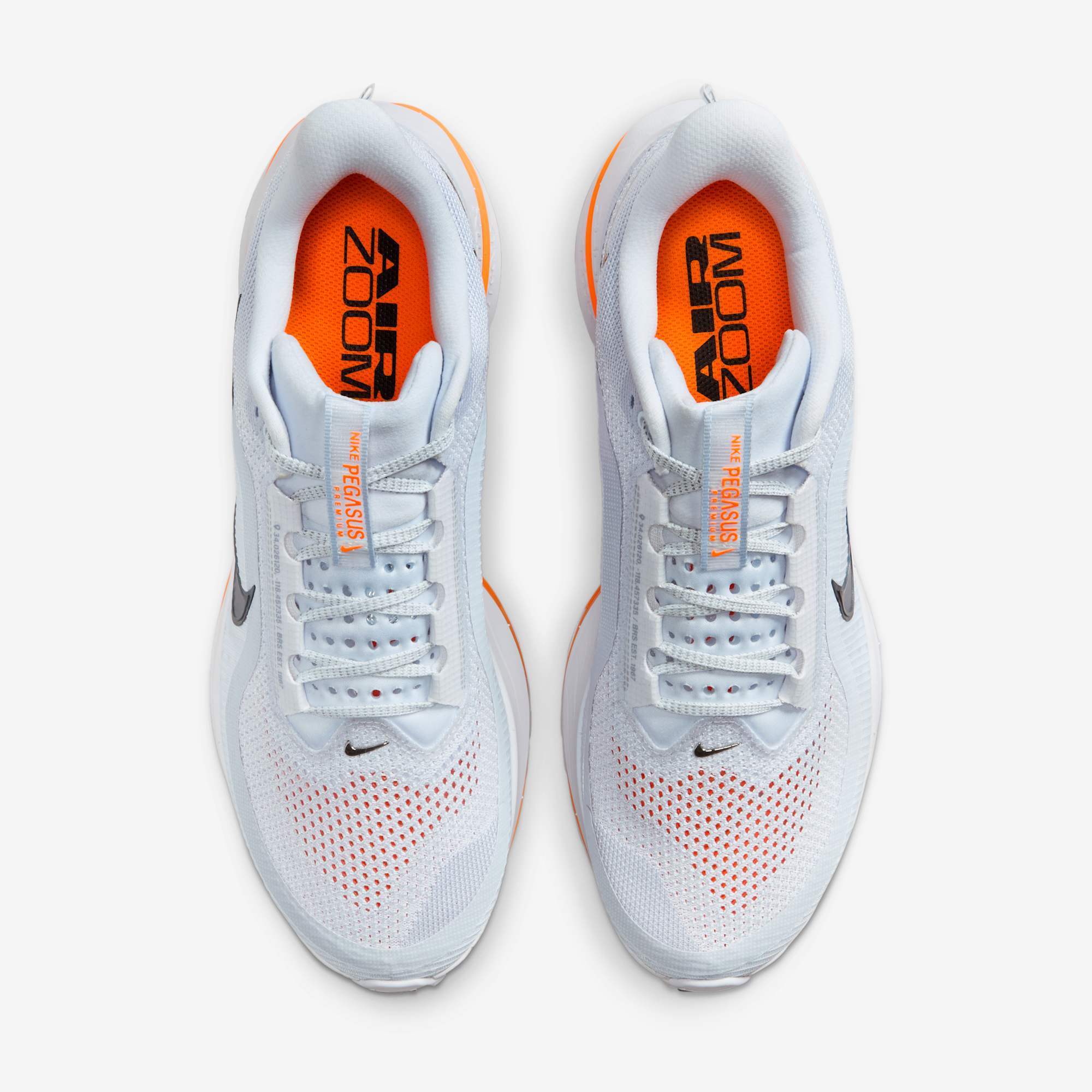 Nike Pegasus Premium Airscape HQ2592-002