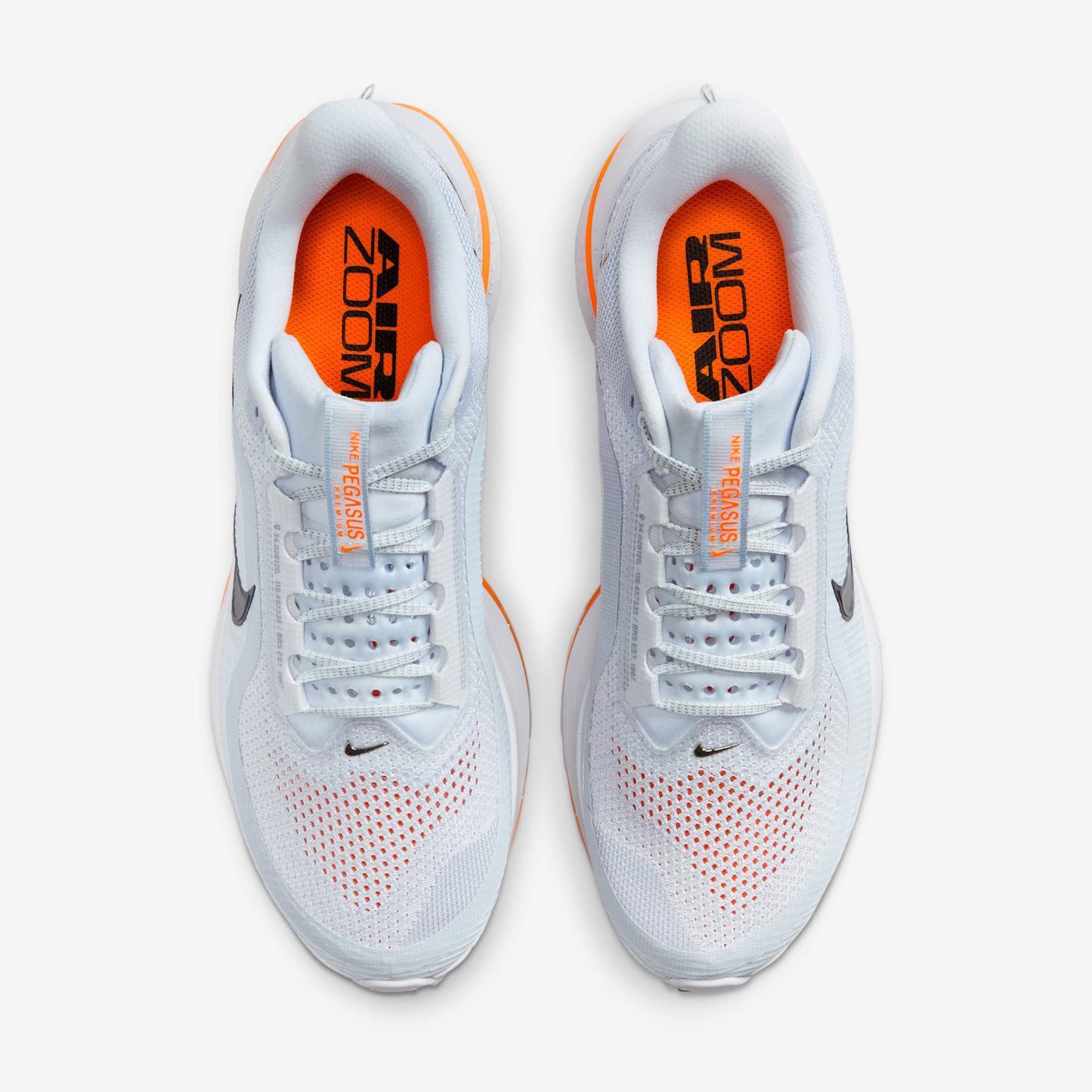 Nike Pegasus Premium Airscape HQ2592-002