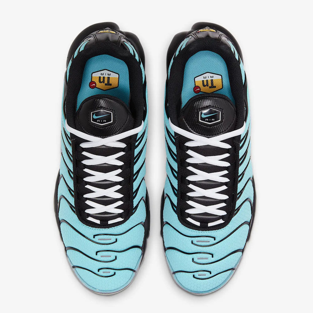 Nike Air Max Plus 'Aqua Silver'