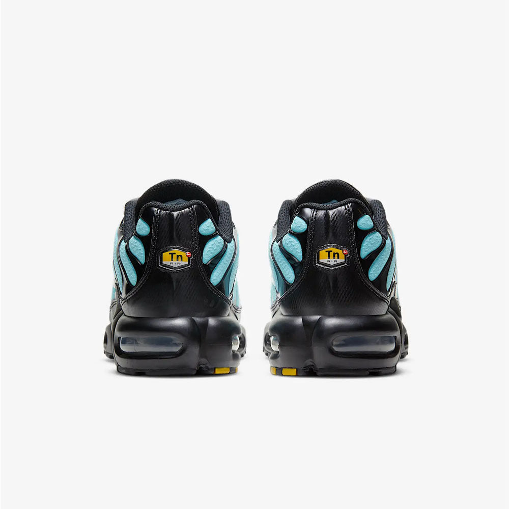 Nike Air Max Plus 'Aqua Silver'
