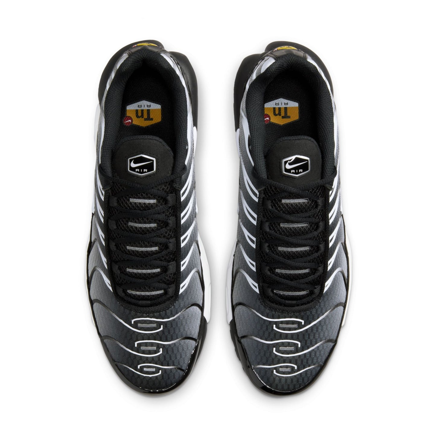 Nike Air Max Plus 'Black/Silver'
