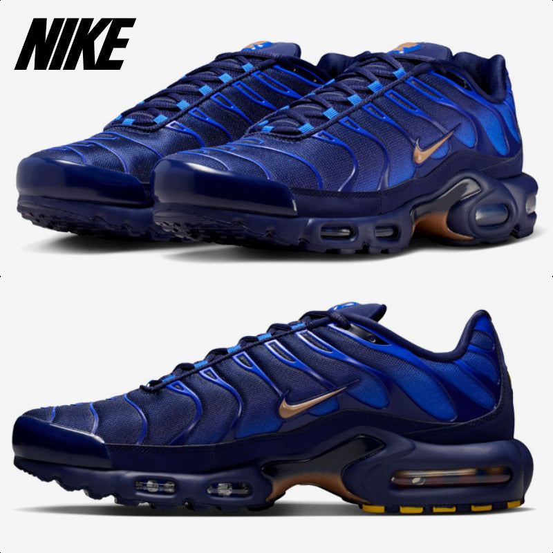 Nike Air Max Plus 'French Football Federation' IQ0170-400