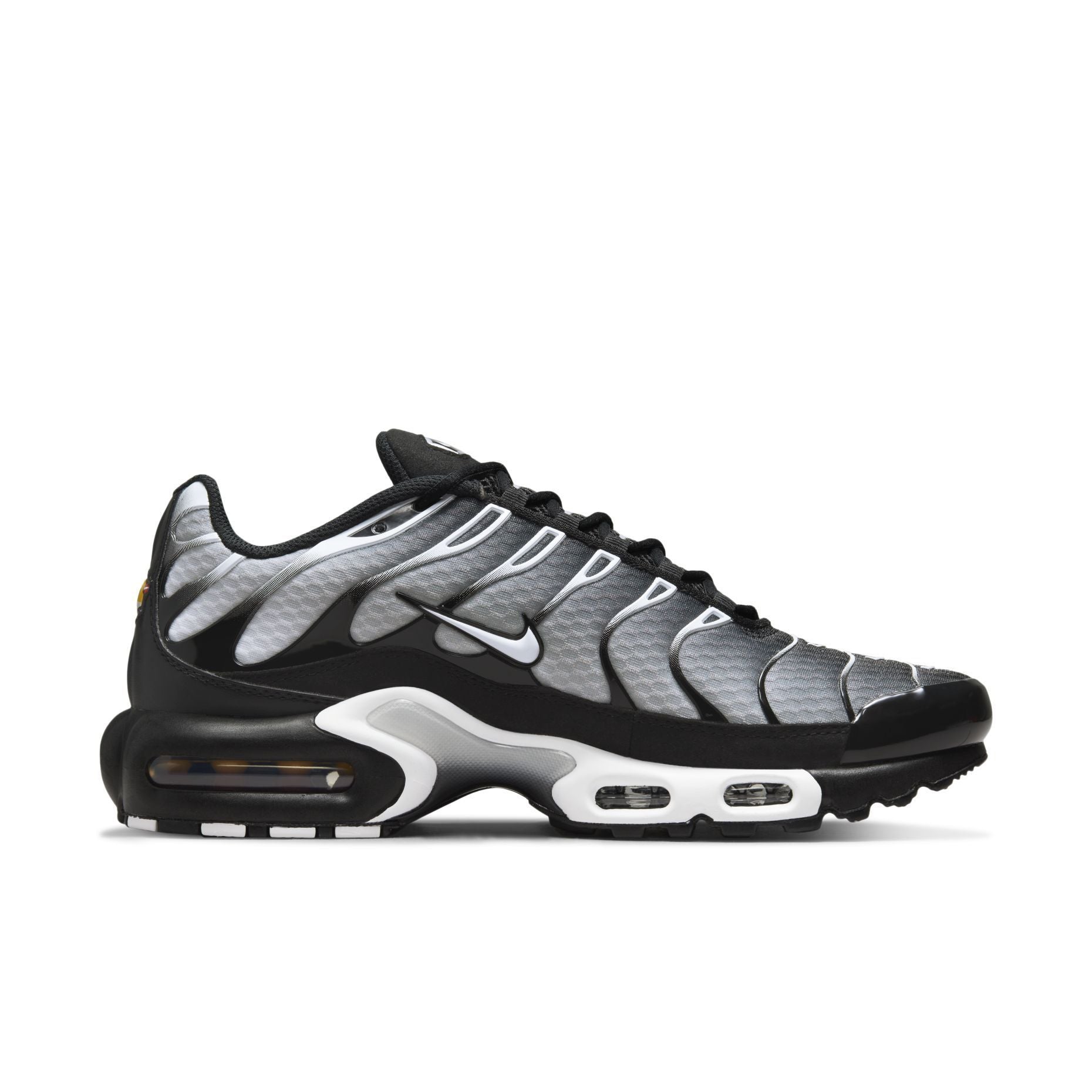 Nike Air Max Plus 'Black/Silver'