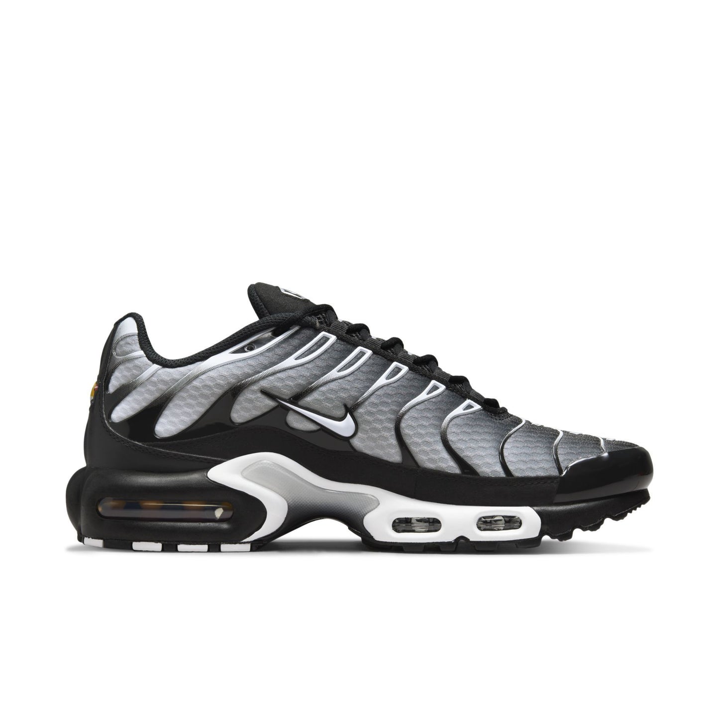 Nike Air Max Plus 'Black/Silver'
