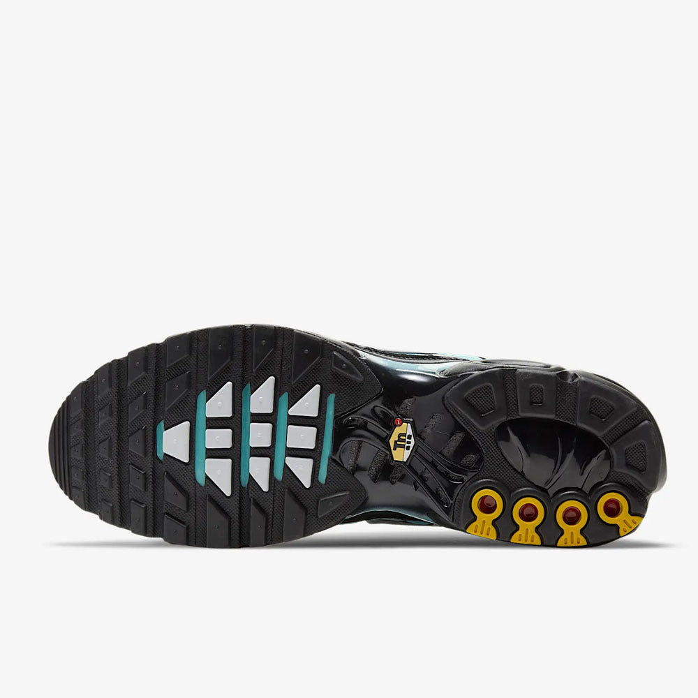 Nike Air Max Plus 'Aqua Silver'