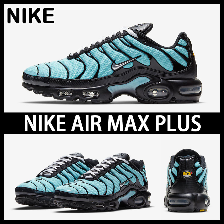 Nike Air Max Plus 'Aqua Silver'