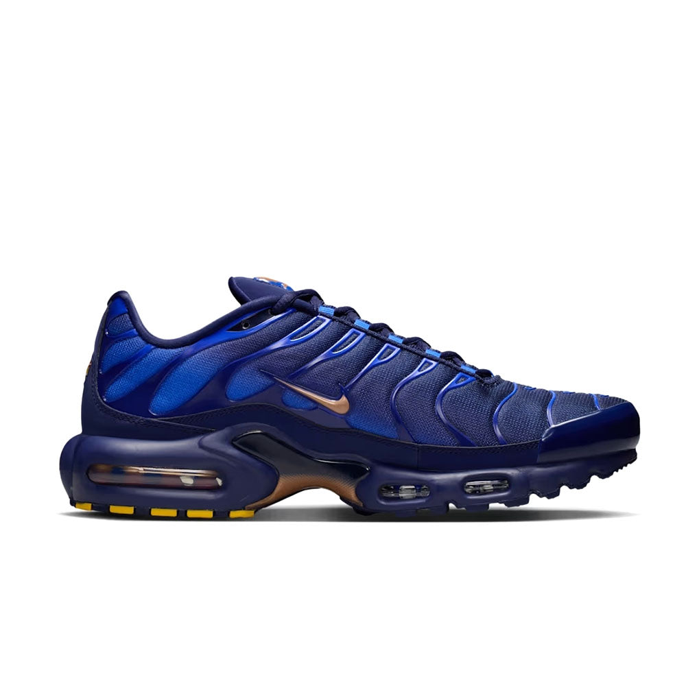 Nike Air Max Plus 'French Football Federation' IQ0170-400