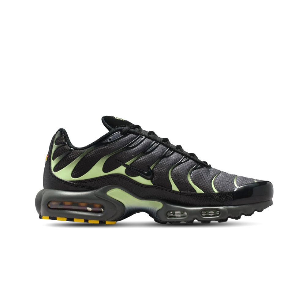 Nike Air Max Plus 'Iron Gray/Light Liquid Lime/Black' DM0032-035