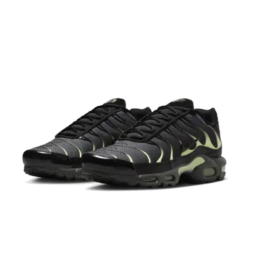 Nike Air Max Plus 'Iron Gray/Light Liquid Lime/Black' DM0032-035