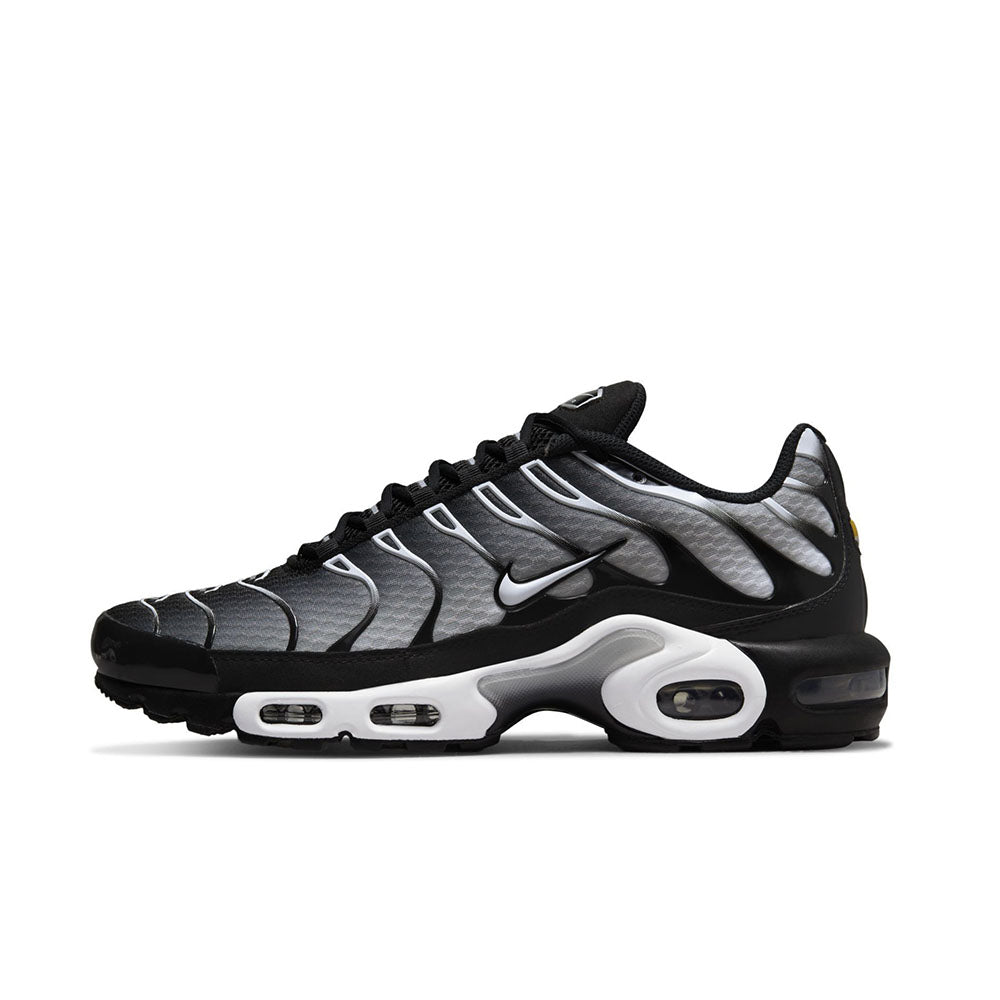 Nike Air Max Plus 'Black/Silver'