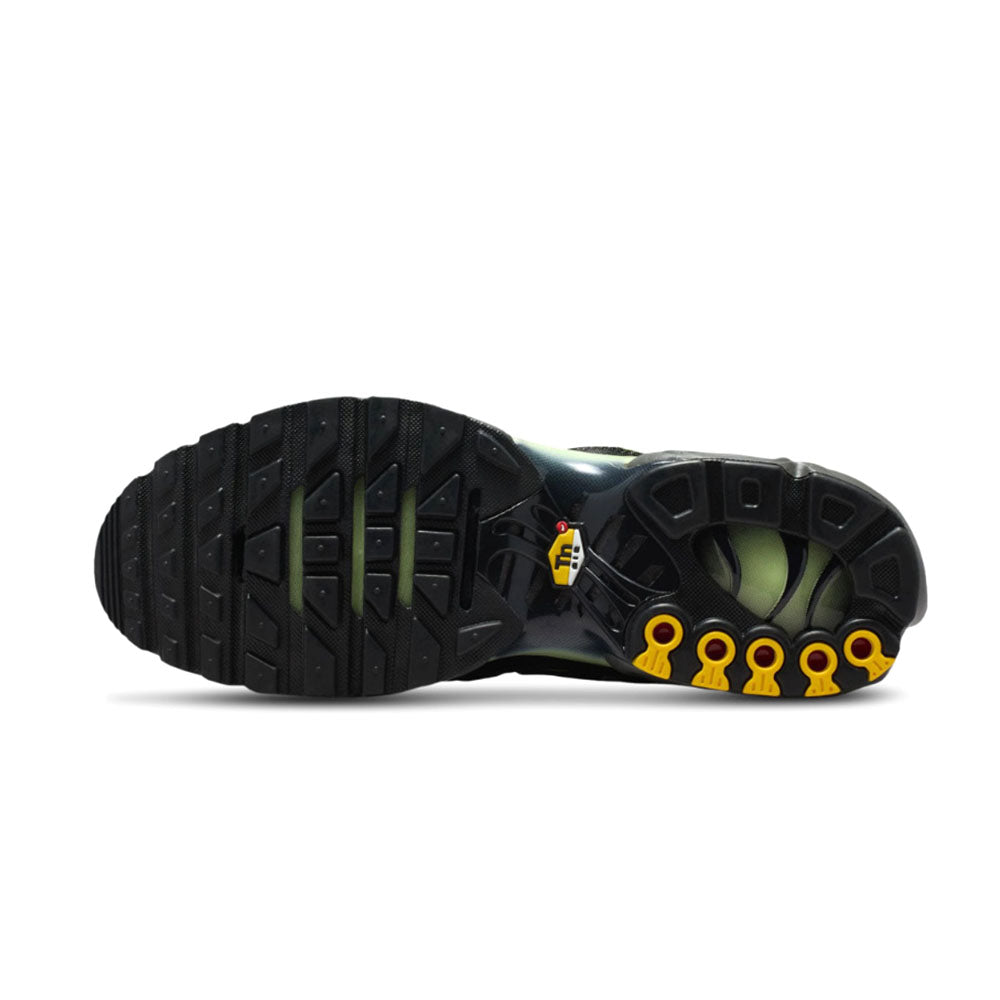 Nike Air Max Plus 'Iron Gray/Light Liquid Lime/Black' DM0032-035