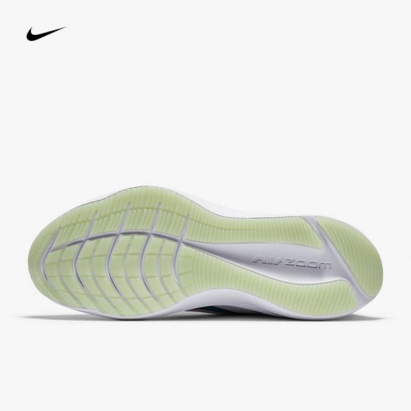 Nike Zoom Winflo 7 Men's Shoe CJ0291-100