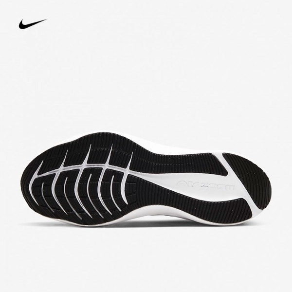 Nike Zoom Winflo 7 Women's Shoe CJ0302-005