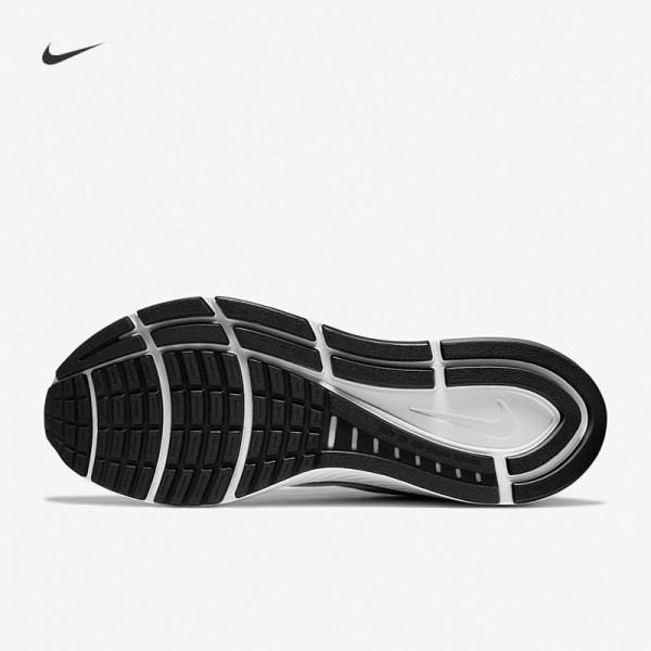 Nike Air Zoom Structure 23 Women's Shoe CZ6721-001